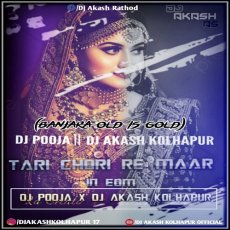 Tari Chori Re Mare Choran - DJ POOJA Tari Chori Re Mare Choran - DJ POOJA